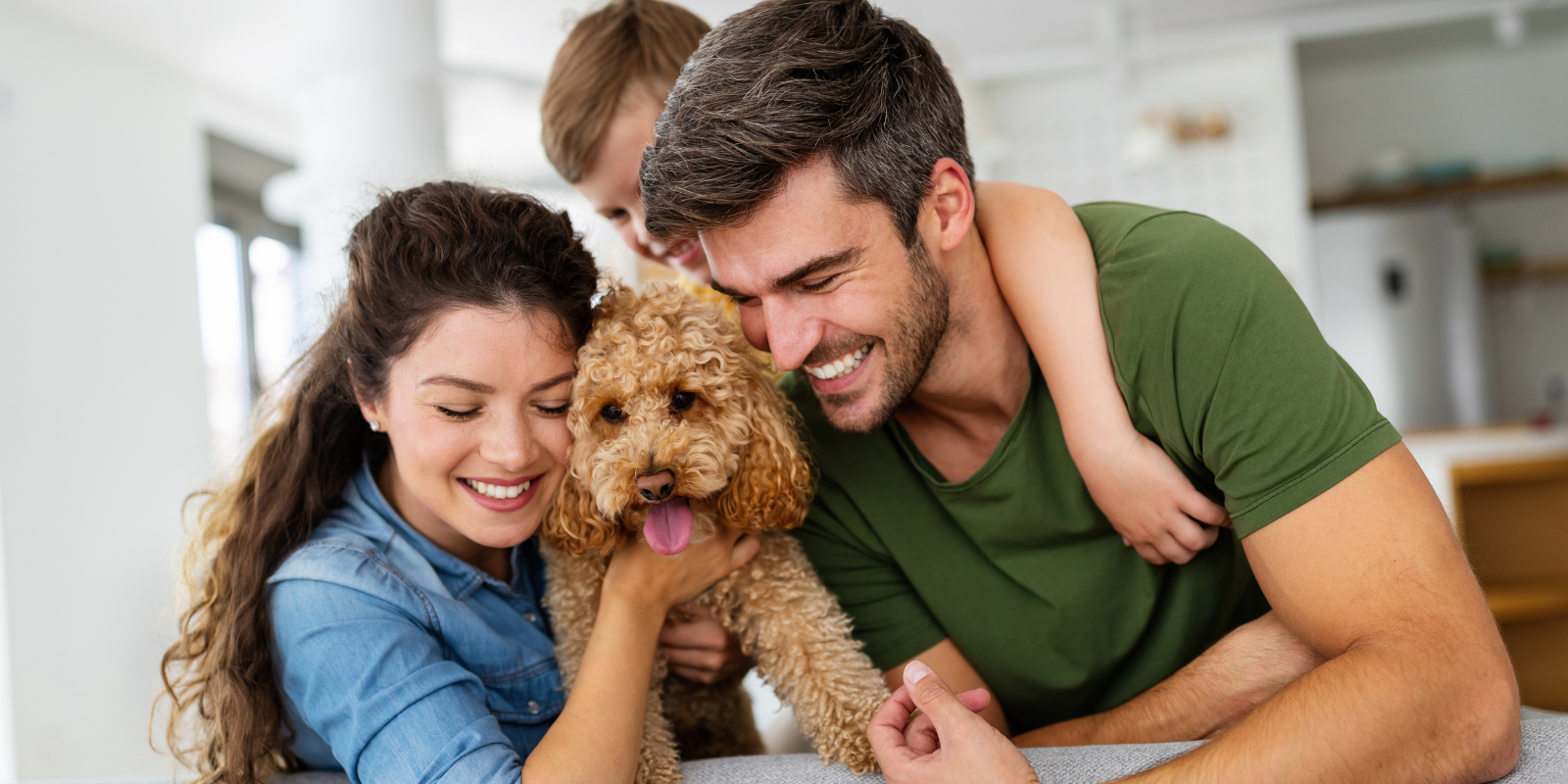 Perche-valutare-unassicurazione-per-gli-animali-domestici