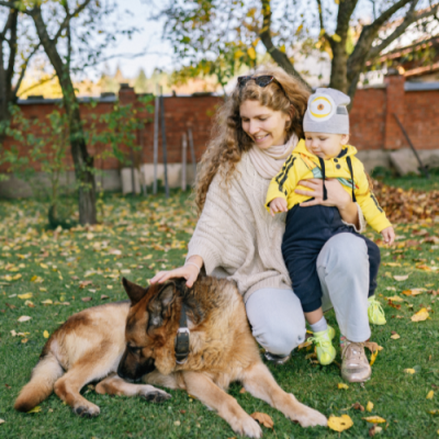 La-primavera-e-una-stagione-delicata-per-i-nostri-animali-domestici-rm1gv33w8hrnigcj7nm4x9s7uw25bgqe7hlbzft6zk